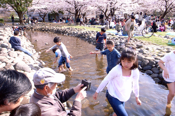 Sakura2010_2