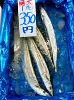 Sanma01