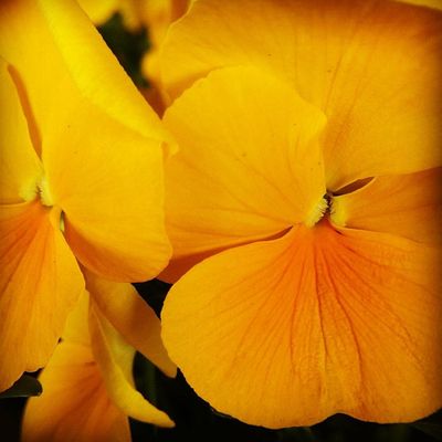 Insta_b01 Insta_b01