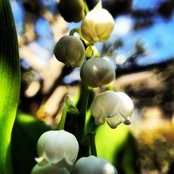 Insta06 Insta06