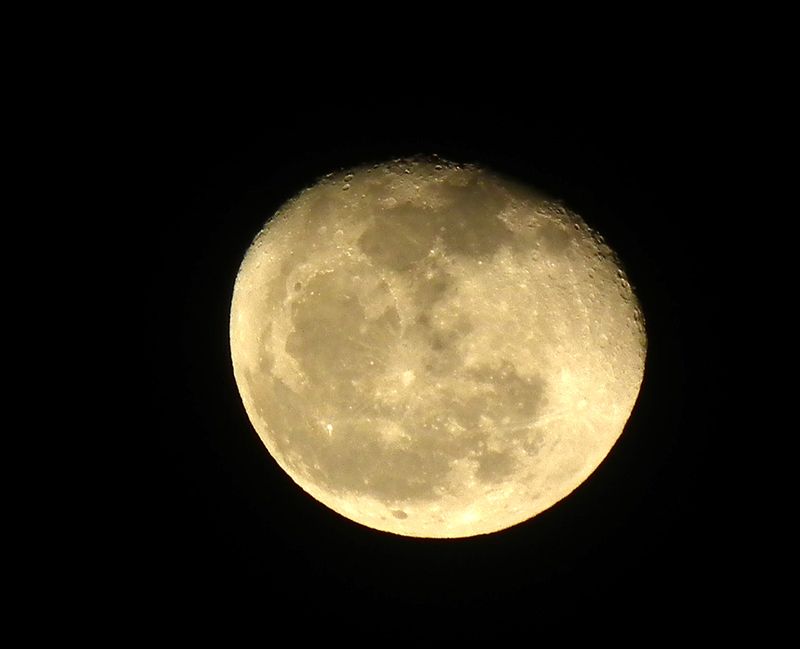 Moon1231