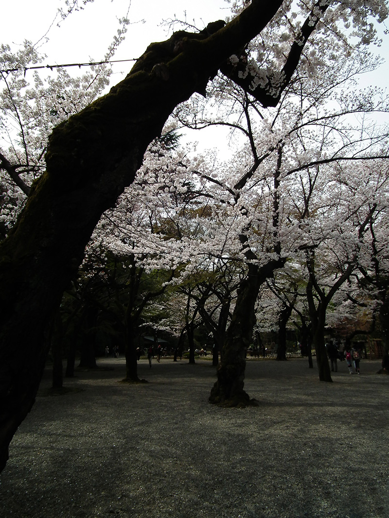 Yasukuni2013_3