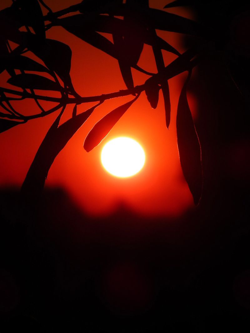 Sunset130119