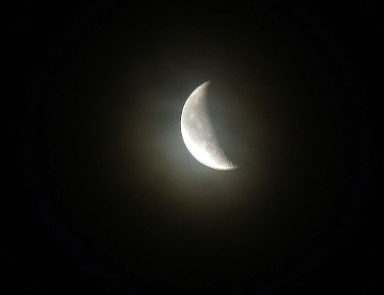 Moon0205-1
