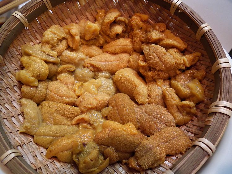 Uni0623_01 Uni0623_01