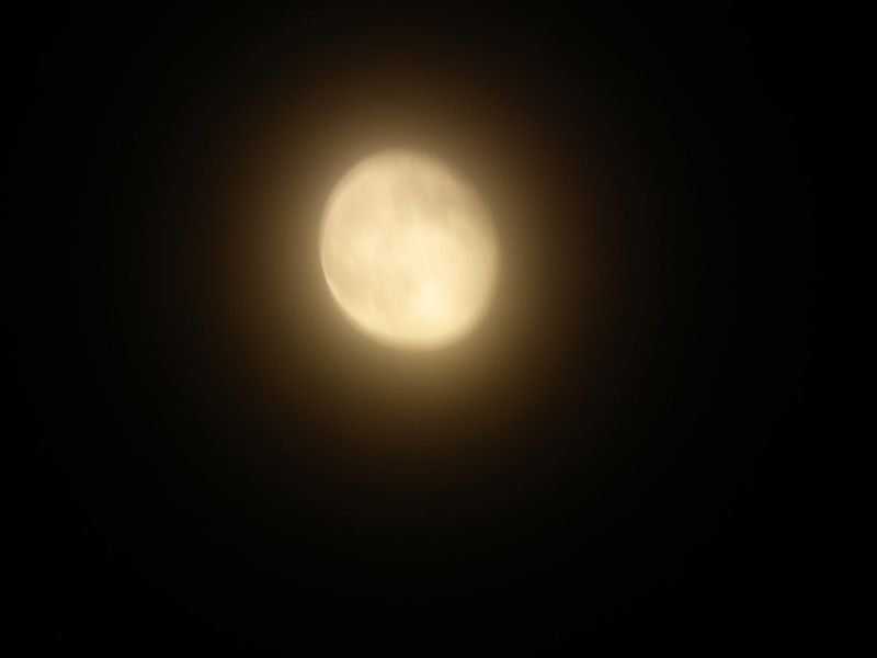 Moon0625