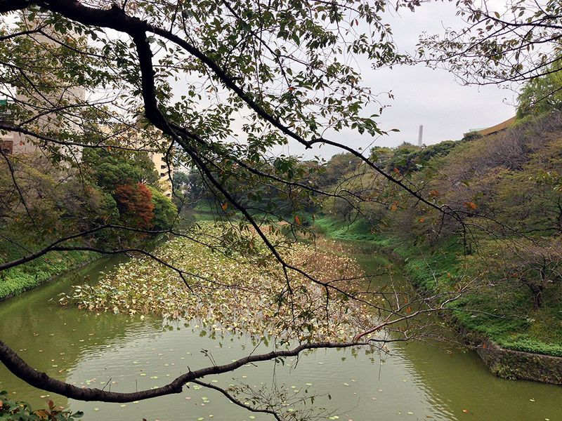 Sanpo1101_2