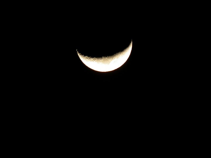 Moon0204