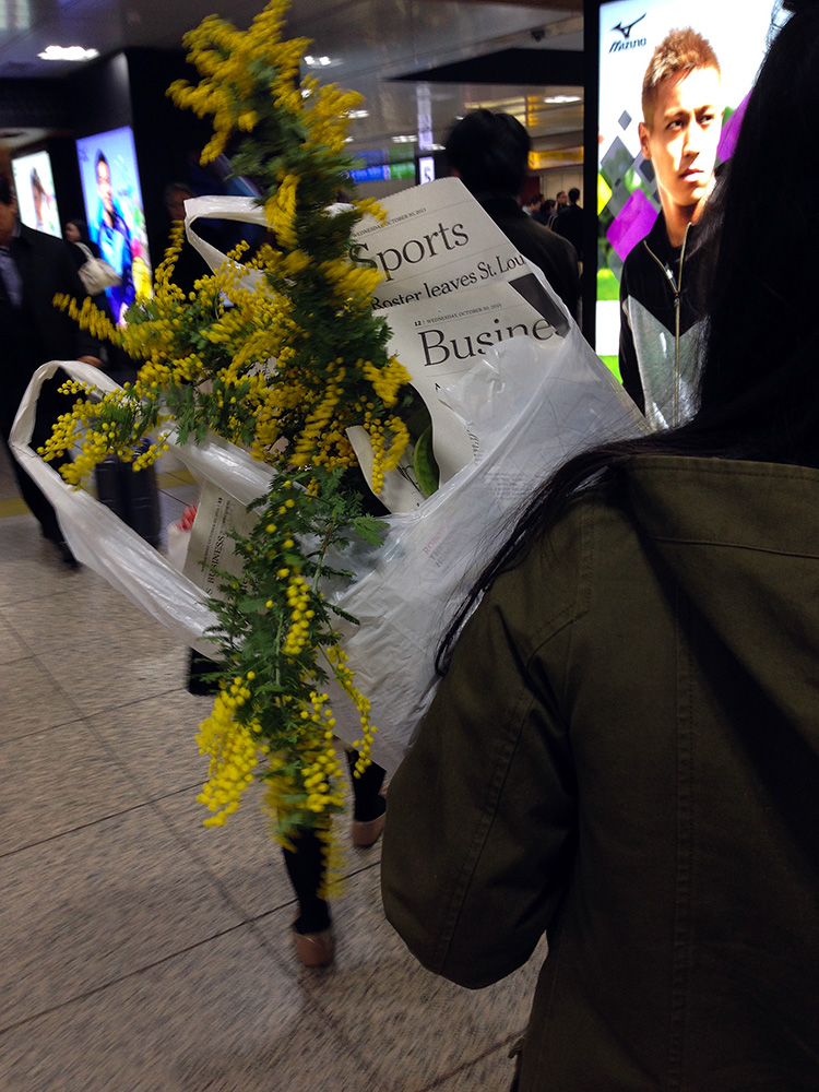 Casa De Borinquen 春を呼ぶミモザの花言葉は 秘密の愛 カオス状態の東京駅構内でミモザの花束を抱えて早足で通り過ぎた後ろ姿を追いかけて