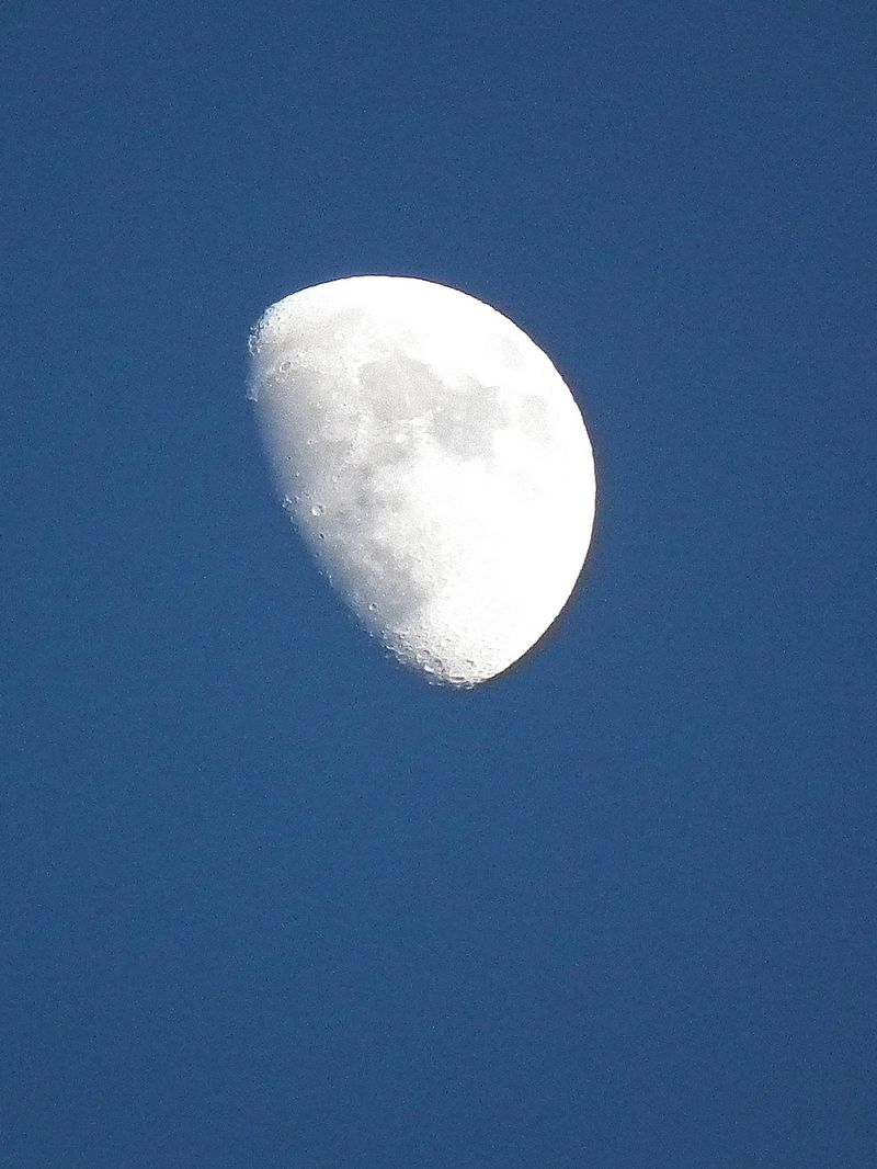 Moon20140509