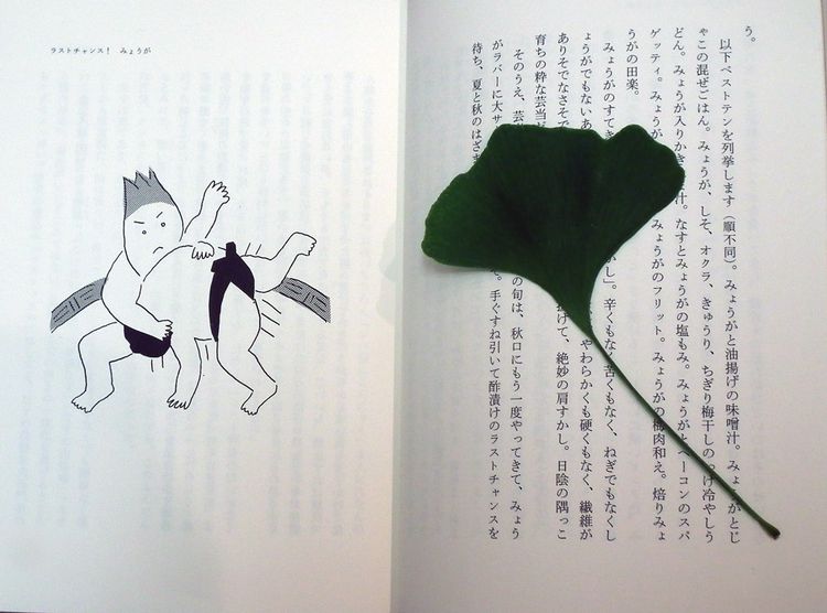 Icho20140626 Icho20140626