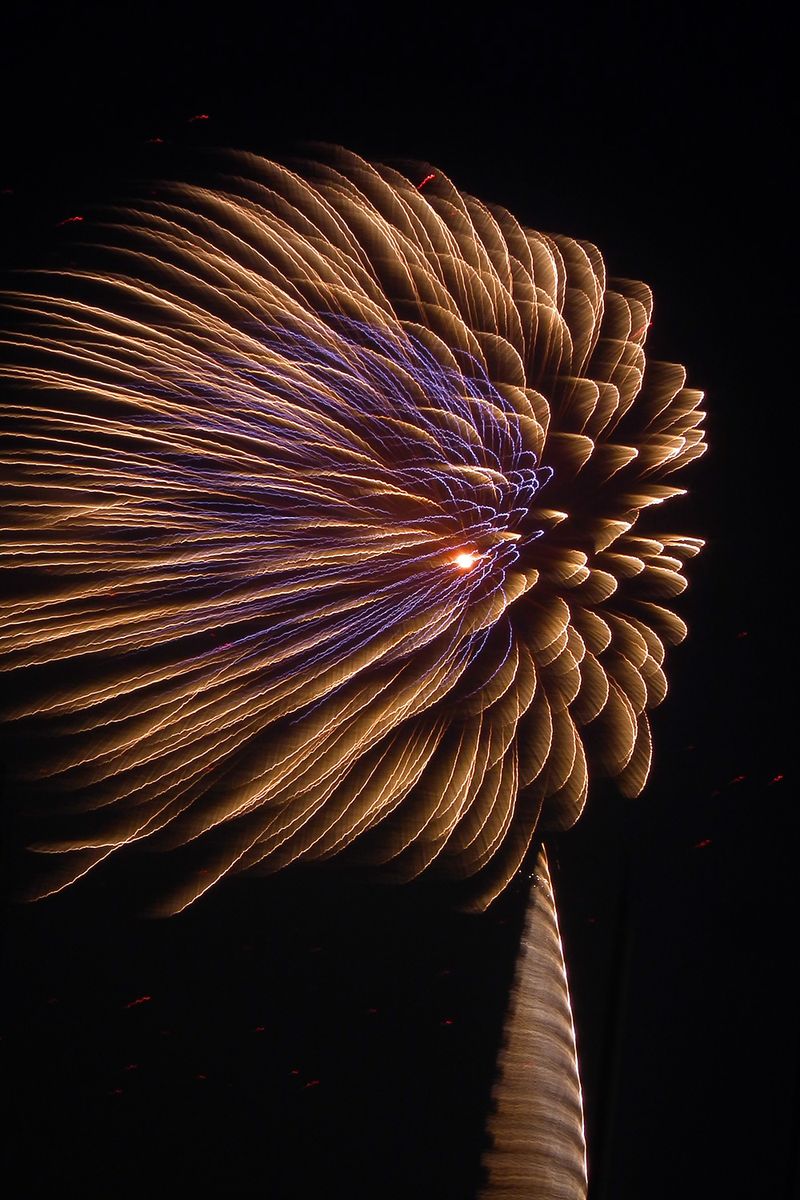 Hanabi2014_04