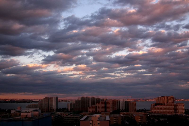 Day20141103_2