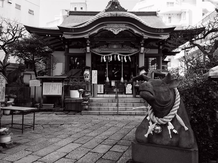 Hirakawajinja Hirakawajinja