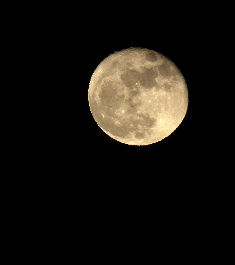 Moon20151127