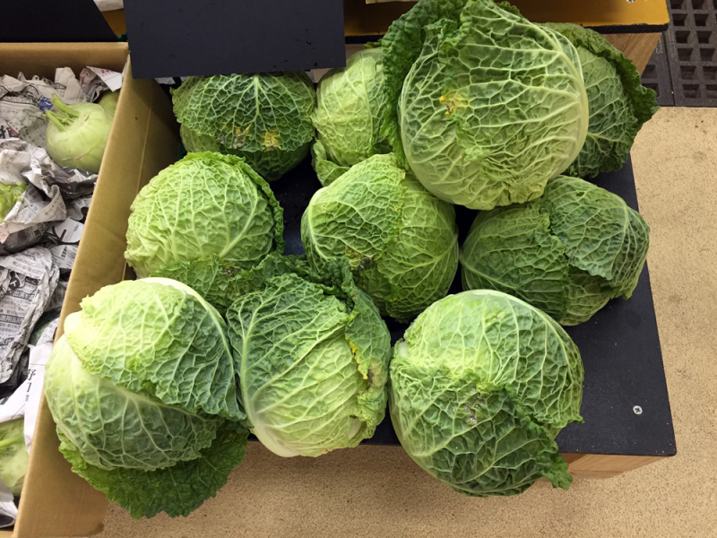 Cabbage201607_2