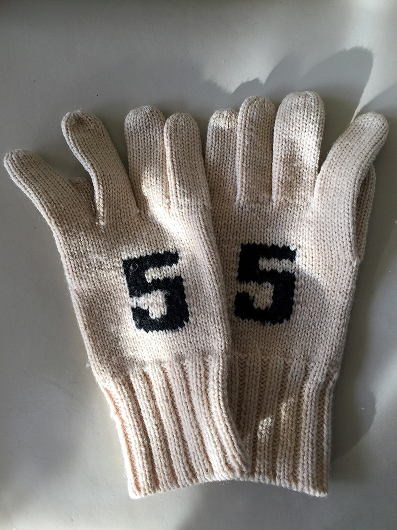 Gloves201611