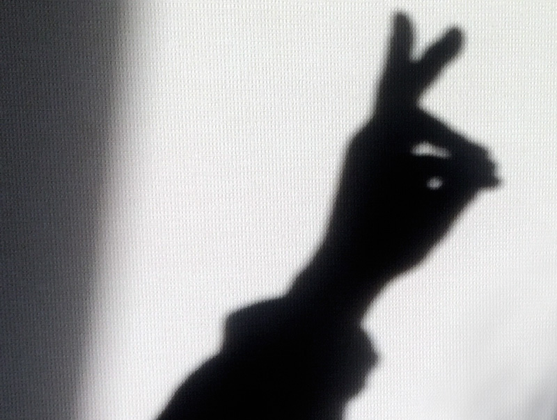 Shadowpicture