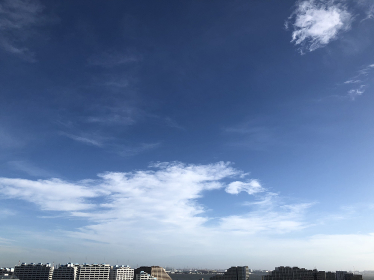 Taifu24_2 Taifu24_2