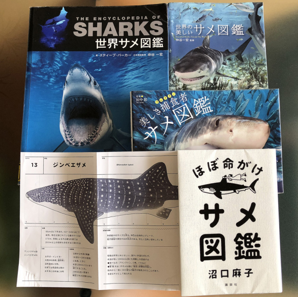 【ささかまぼこ】サメ図鑑(生成り)×ネイビー　入園入学グッズ4点 サメ図鑑(生成り)×紺 レッスンバッグ/裏地キルティング 40×30