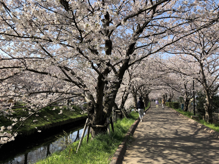 Takajoubashi201904_5