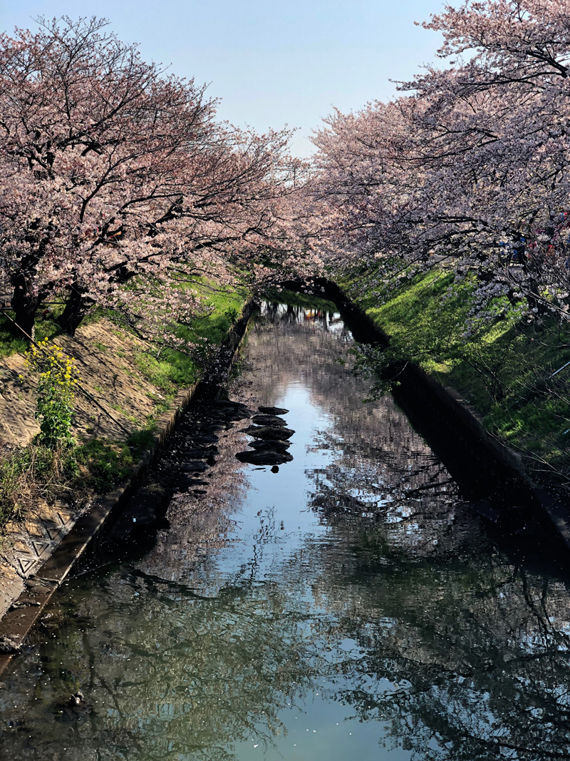 Takajoubashi201904_5