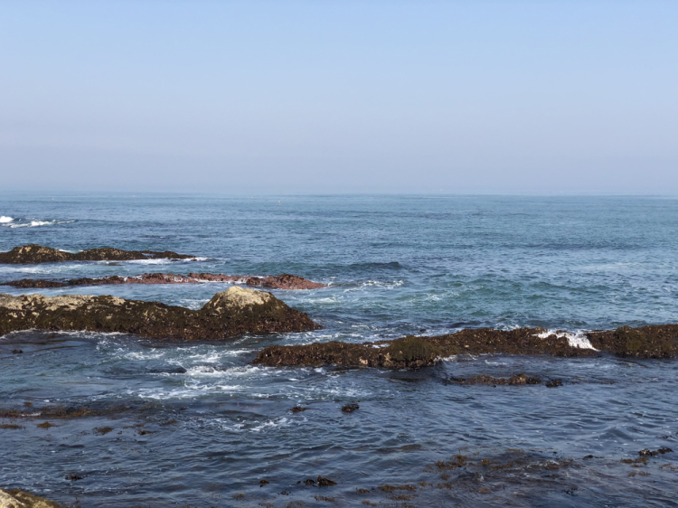 Indys20190525_8
