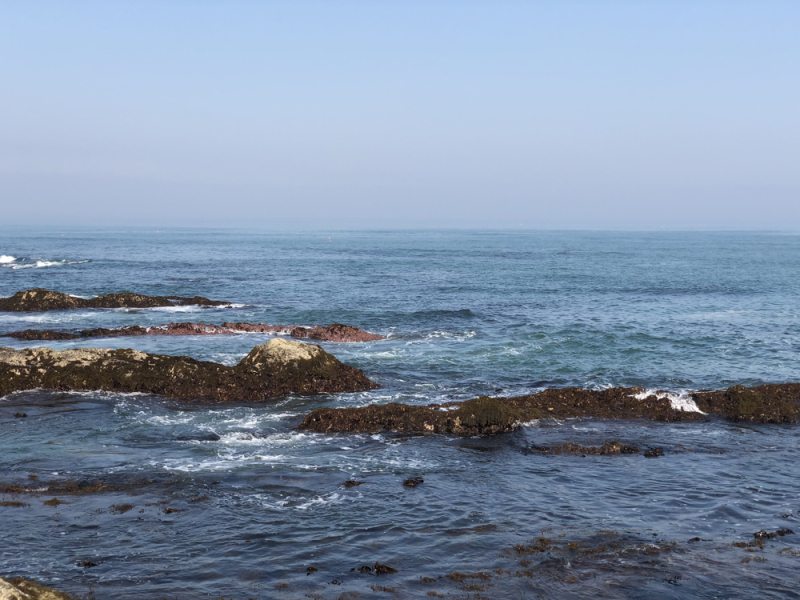 Indys20190525_8