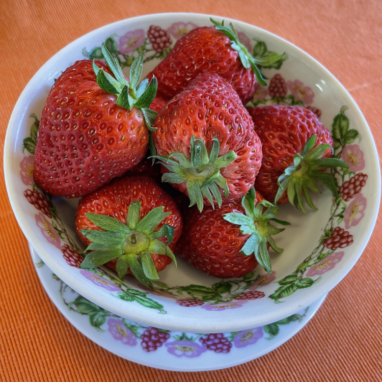 Strawberry01 Strawberry01